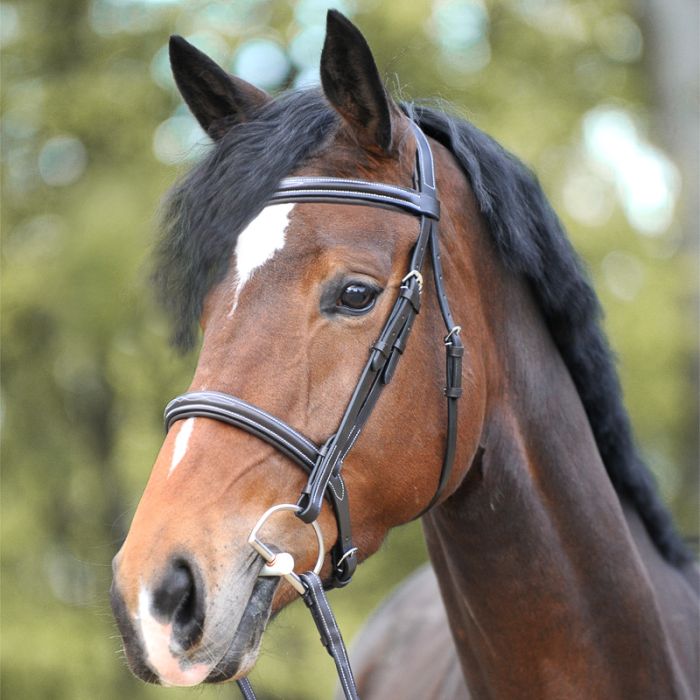 Ogłowie myśliwskie Akila Kavalkade z nachrapnikiem angielskim - Cavalo